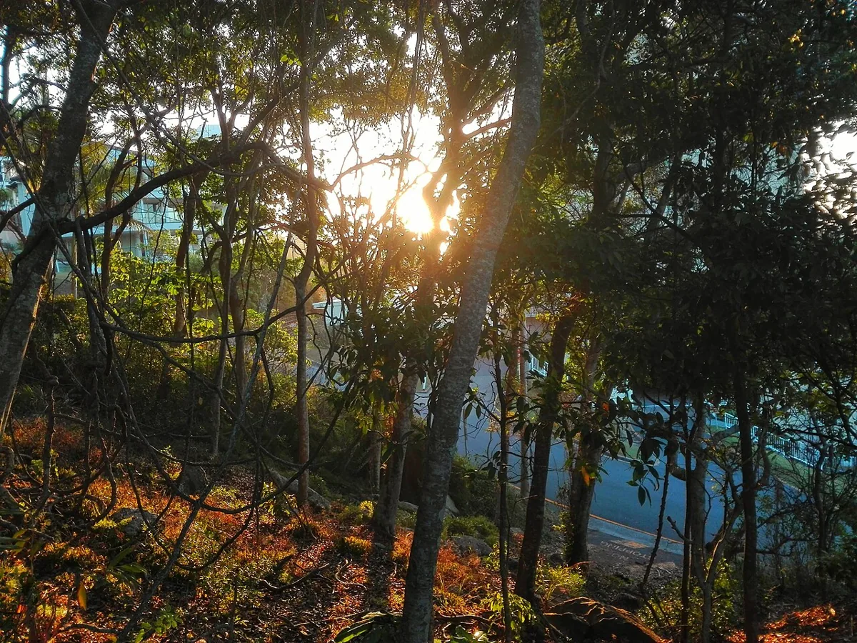バーレーヘッズ国立公園