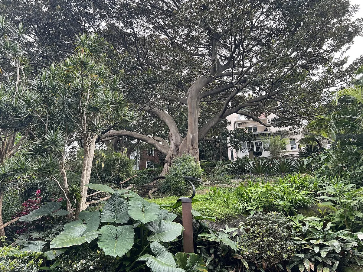 ウェンディ・ホワイトリーの秘密の花園